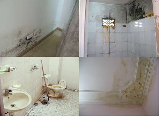 Dịch vụ chống thấm tại Hai Bà Trưng